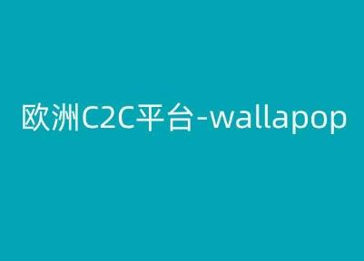 欧洲C2C平台-wallapop-kim跨境电商教程-老吴出海笔记