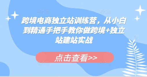 跨境电商独立站训练营,从小白到精通手把手教你做跨境+独立站建站实战-老吴出海笔记